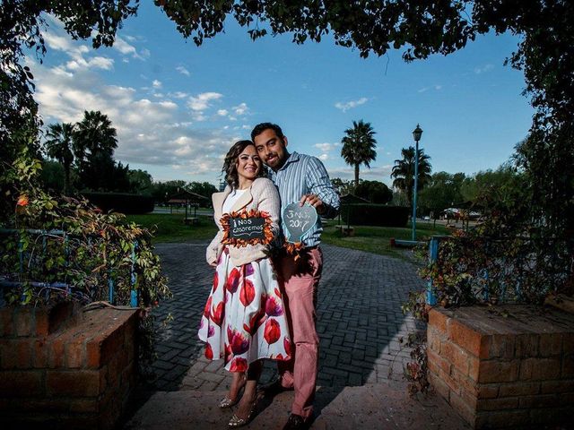 La boda de Adolfo y CIinthia en San Luis Potosí, San Luis Potosí 4