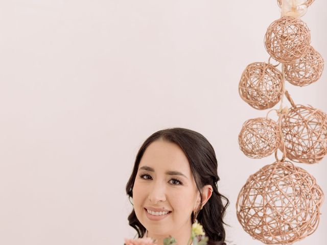 La boda de Daniel y Caro en Mérida, Yucatán 4