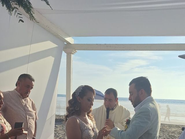 La boda de Francisco y Paola en Ixtapa Zihuatanejo, Guerrero 10