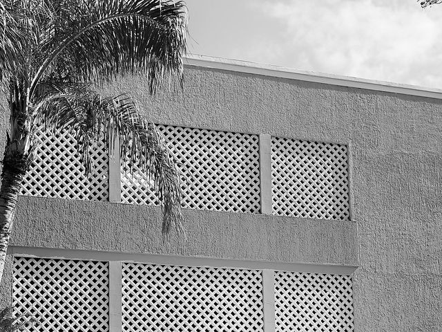 La boda de Lalo y Cristina en Playa del Carmen, Quintana Roo 5