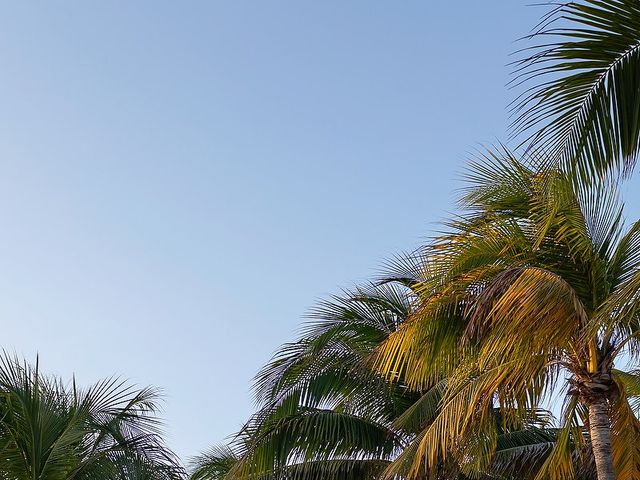 La boda de Lalo y Cristina en Playa del Carmen, Quintana Roo 45