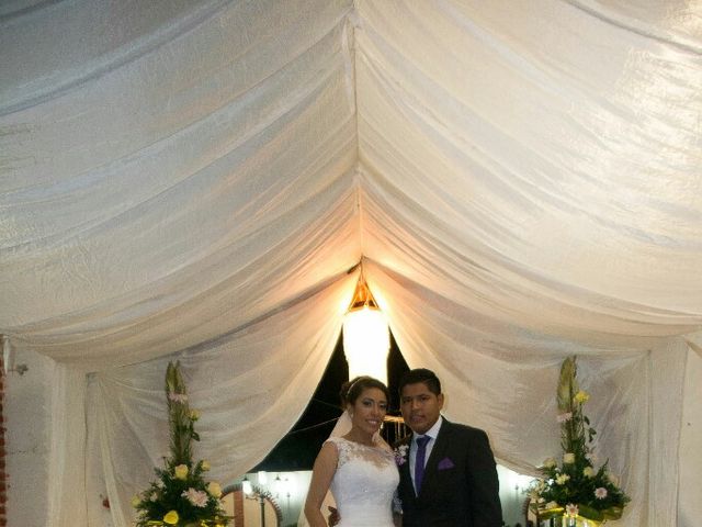 La boda de Carlos y Judy en Múgica, Michoacán 5