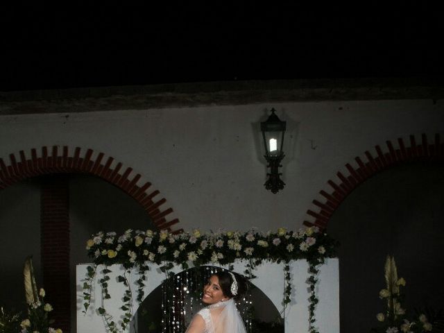 La boda de Carlos y Judy en Múgica, Michoacán 10