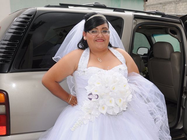 La boda de Germán y Daniela en Apan, Hidalgo 13