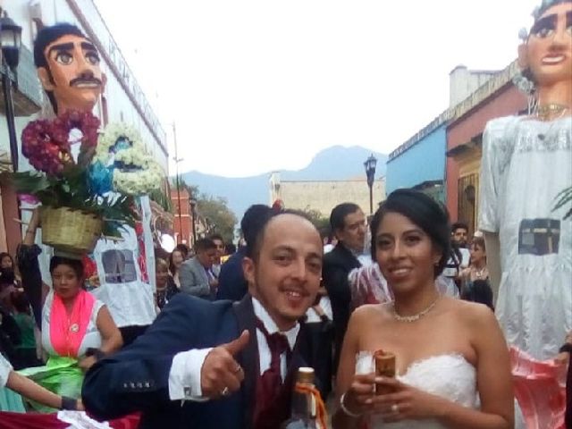 La boda de Daryl  y Mario  en Oaxaca, Oaxaca 13