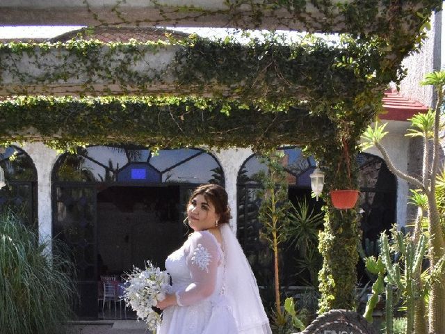 La boda de Crystofer y Carmen en Celaya, Guanajuato 14