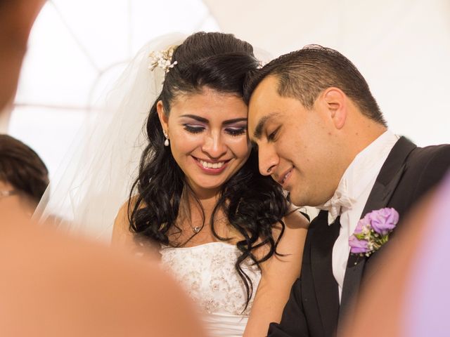 La boda de Carlos y Ayde en Toluca, Estado México 7