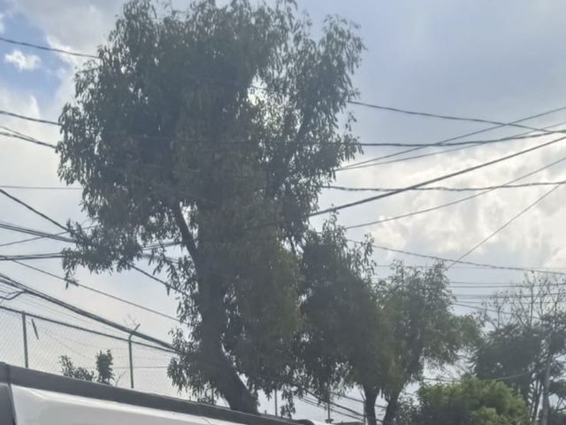 La boda de Francisco  y Elizabeth  en Iztapalapa, Ciudad de México 4