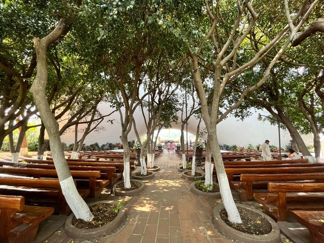 La boda de Adrián y Brenda en Cuernavaca, Morelos 11