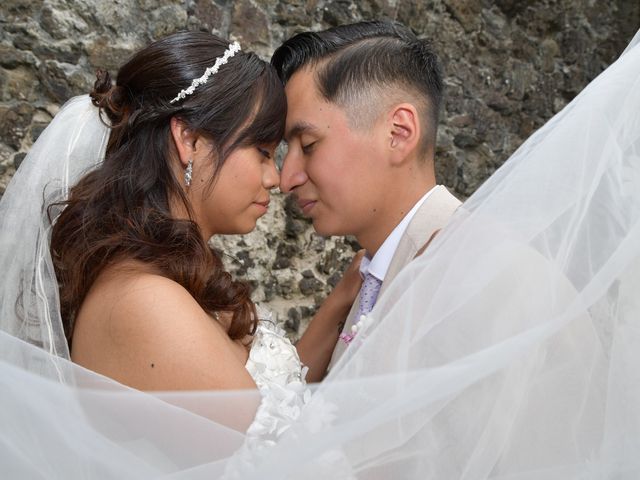 La boda de Gael y Laura  en Coacalco, Estado México 6