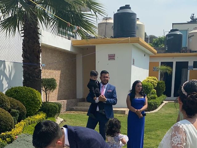 La boda de Luis  y Fernanda  en Xochimilco, Ciudad de México 3