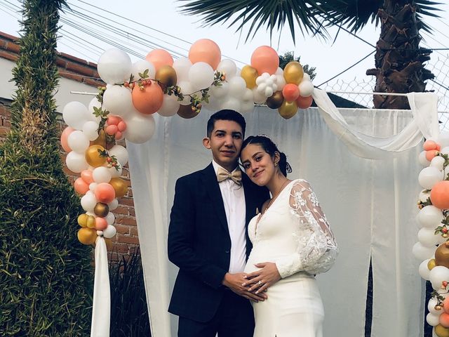 La boda de Luis  y Fernanda  en Xochimilco, Ciudad de México 5