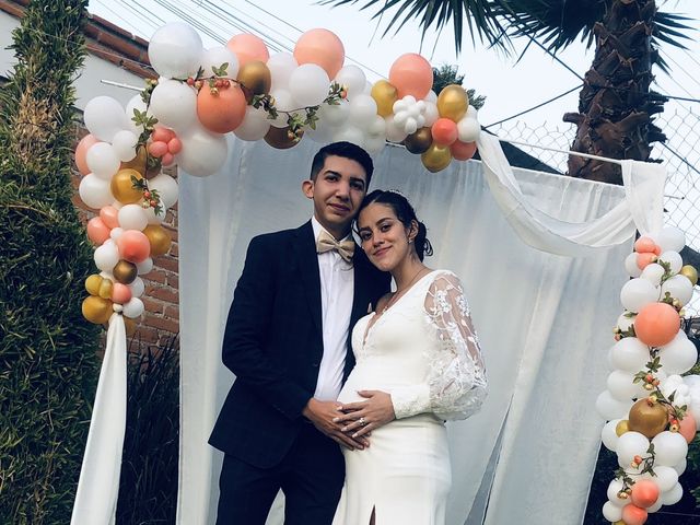 La boda de Luis  y Fernanda  en Xochimilco, Ciudad de México 8