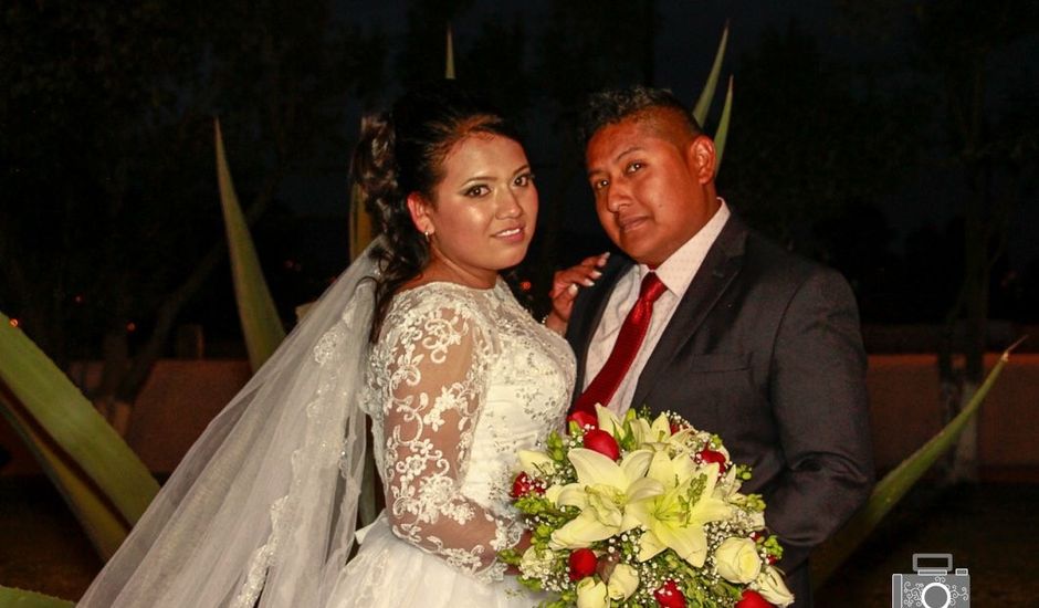 La boda de Mauricio y Monse en Cuautitlán Izcalli, Estado México