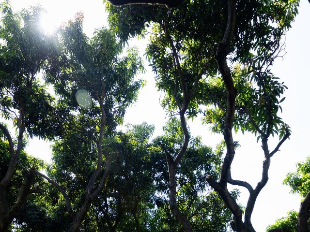 La boda de César y Ivonne en Xochitepec, Morelos 16