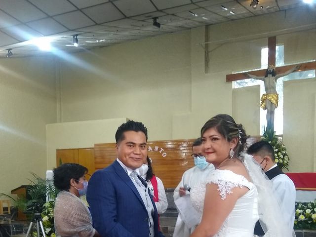 La boda de Enrique y Cristina en Naucalpan, Estado México 5