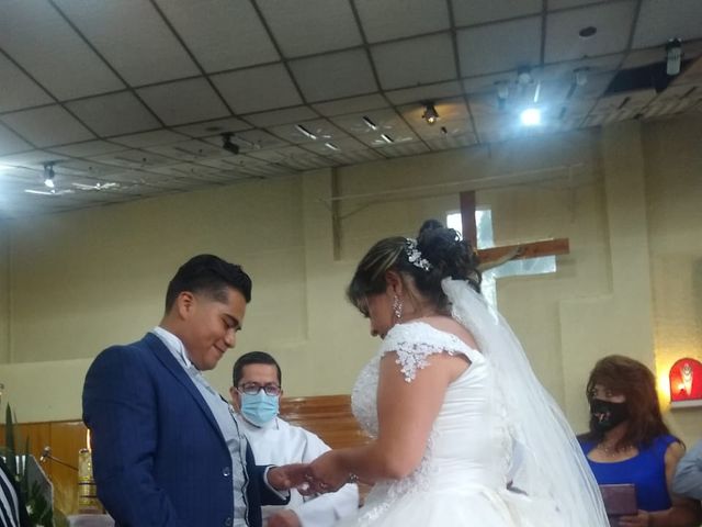 La boda de Enrique y Cristina en Naucalpan, Estado México 6