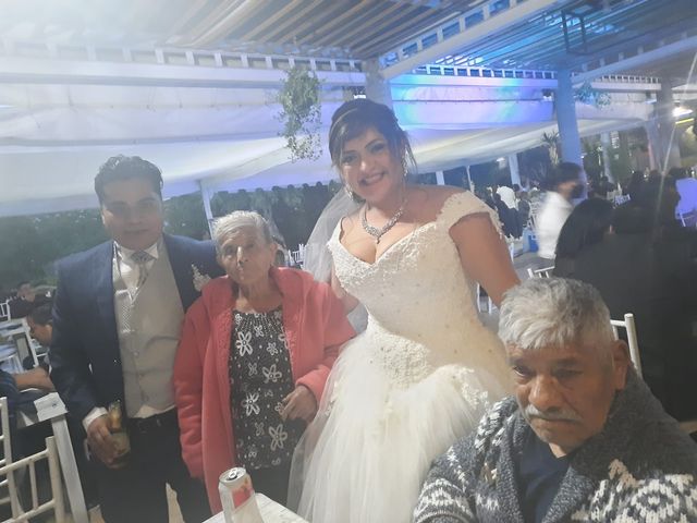 La boda de Enrique y Cristina en Naucalpan, Estado México 15