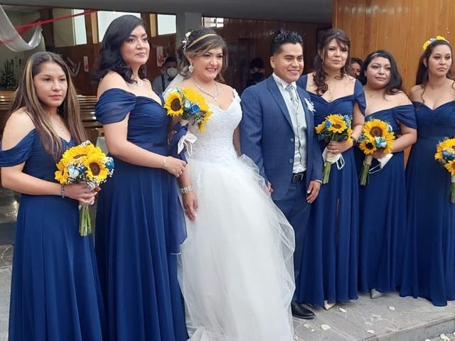La boda de Enrique y Cristina en Naucalpan, Estado México 17