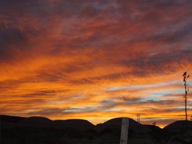 La boda de Alejandro y Cinthia en Tlajomulco de Zúñiga, Jalisco 8
