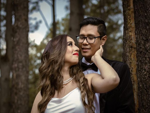 La boda de Alexis y Selene  en Morelia, Michoacán 69