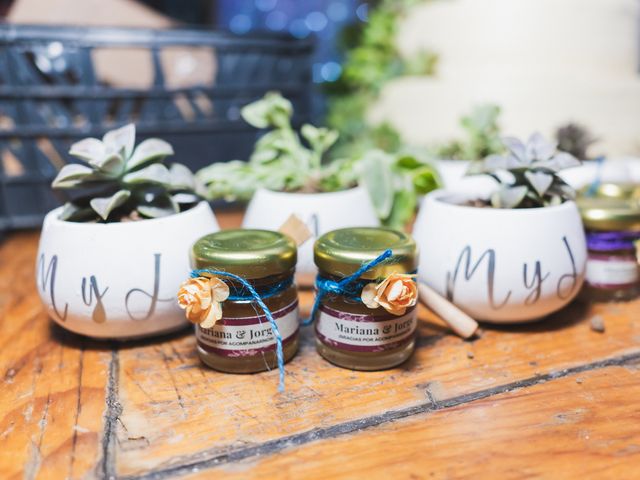 La boda de Jorge y Mariana en Xochimilco, Ciudad de México 5