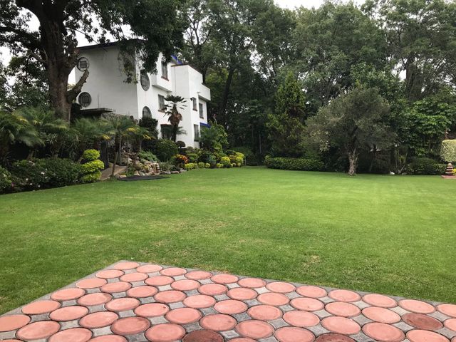 La boda de Juanjo y Erika en Cuernavaca, Morelos 1