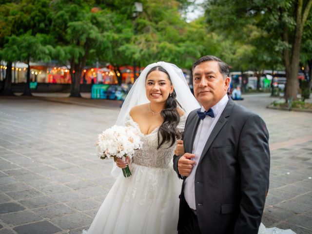 La boda de Antonio y Fernanda en Del Valle, Ciudad de México 2