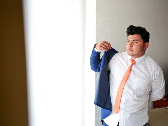 La boda de Ricardo y Rocío en Ixtapa Zihuatanejo, Guerrero 20
