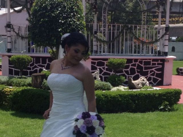 La boda de Ricardo y Maribel en Gustavo A. Madero, Ciudad de México 6