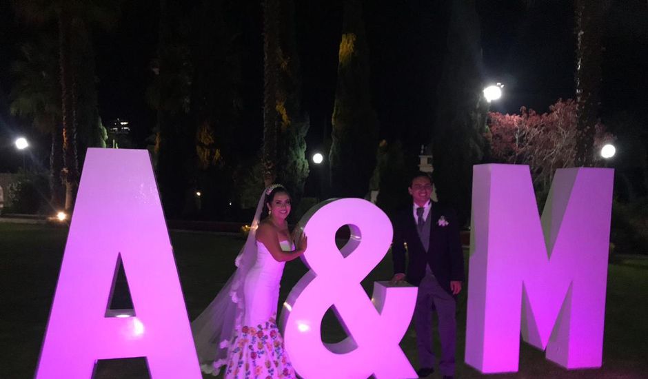 La boda de Mario y Adriana en Puebla, Puebla