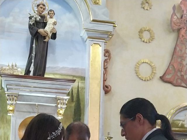 La boda de Antonio  y Gloria  en Tepatitlán de Morelos, Jalisco 1