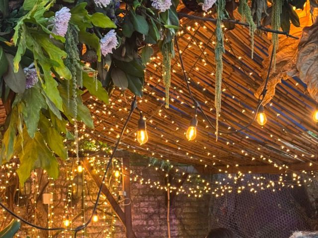 La boda de Ramón Soto y Alma Cerratos en San Luis Potosí, San Luis Potosí 4