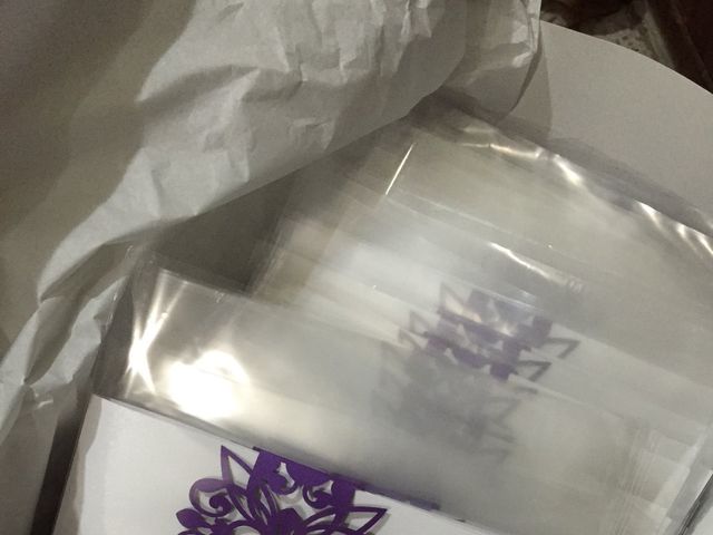 La boda de Juan Carlo y Carolina en Veracruz, Veracruz 3