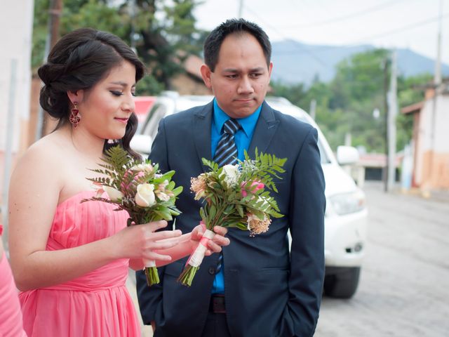 La boda de Emilio y Paola en Tenancingo, Estado México 8
