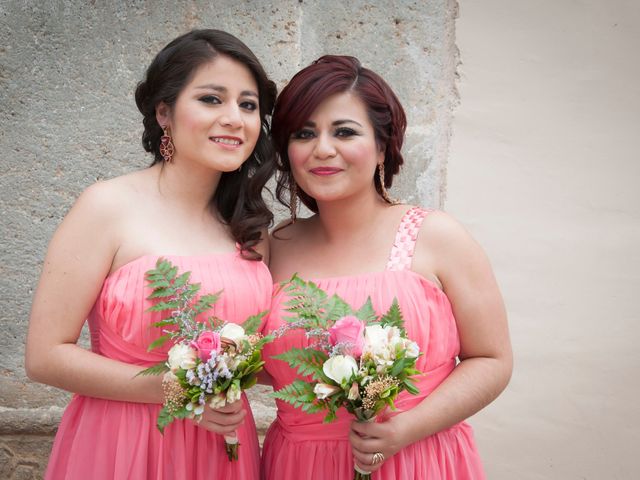 La boda de Emilio y Paola en Tenancingo, Estado México 16
