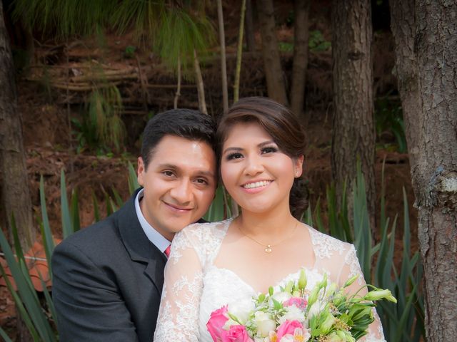 La boda de Emilio y Paola en Tenancingo, Estado México 82