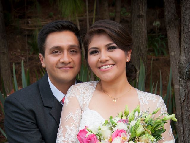 La boda de Emilio y Paola en Tenancingo, Estado México 85