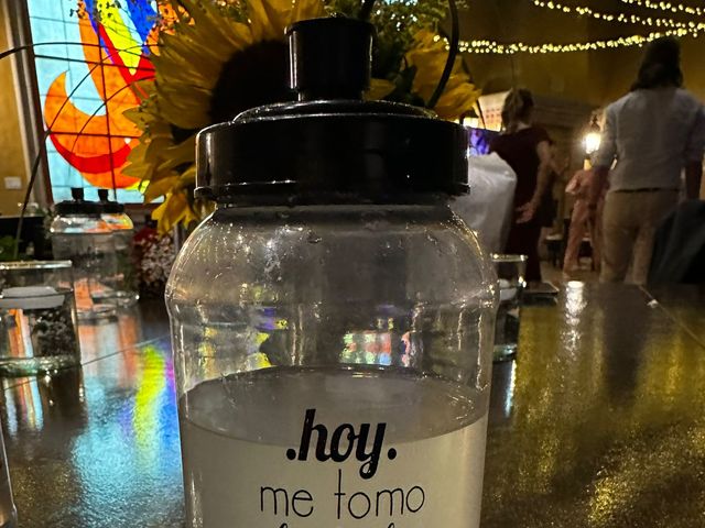 La boda de Geraldo  y Ileana  en Tlalpan, Ciudad de México 25