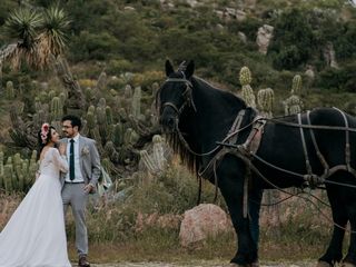 La boda de Daphne y Francisco  3