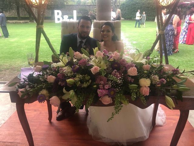 La boda de Julio y Brenda en Xochimilco, Ciudad de México 5
