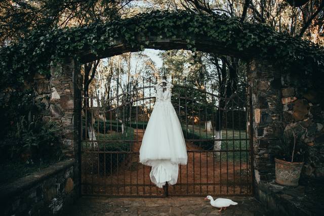 La boda de Renata y Carlos 2