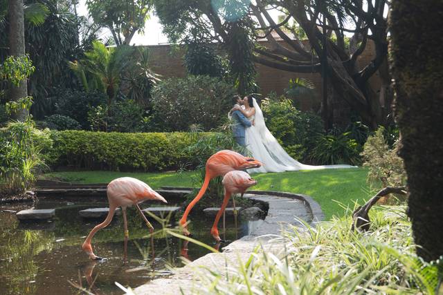 La boda de Estrella y Ron 1