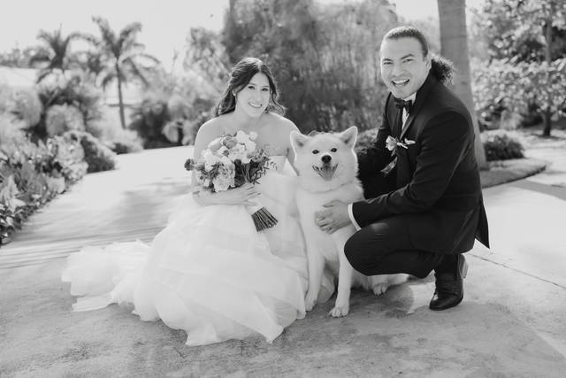 La boda de Diana y Jarim 2