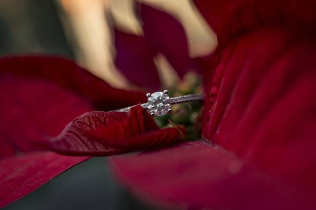 La boda de Karla y Daniel 3