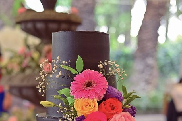 La boda de Nayeli y José Eugenio 2