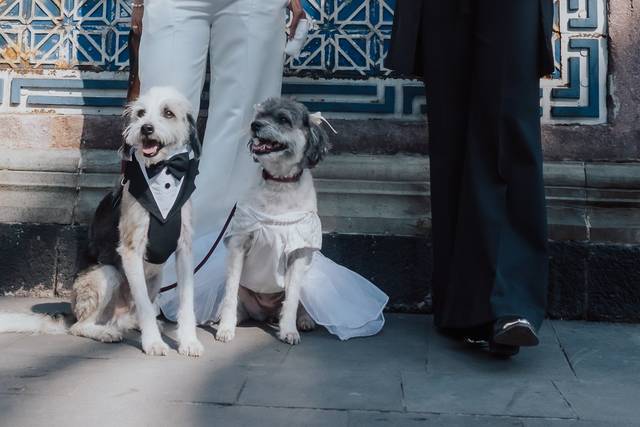 La boda de Brenda y Marisel 1