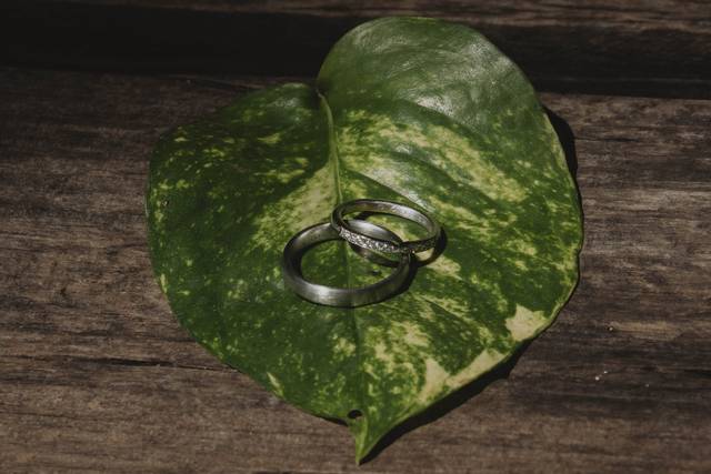 La boda de Gaby y Carlos 1