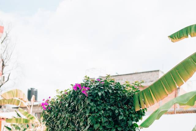 La boda de Ángeles y Zareth 2