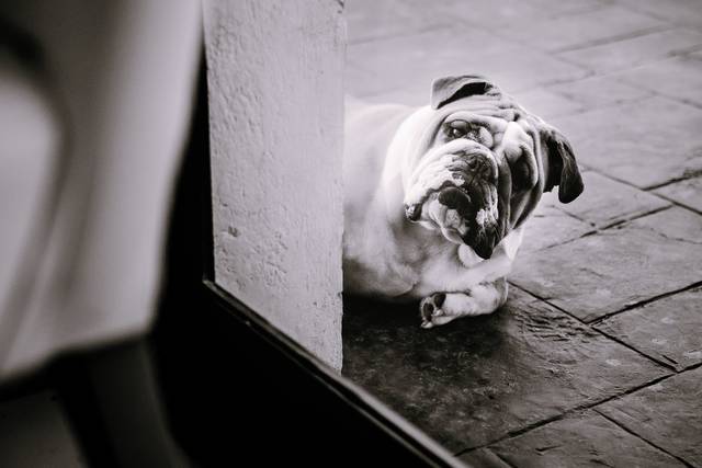 La boda de Jocelyn y Guillermo 2